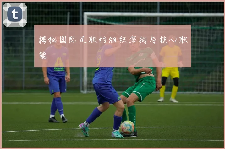 揭秘国际足联的组织架构与核心职能