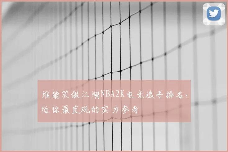 谁能笑傲江湖NBA2K电竞选手排名，给你最直观的实力参考
